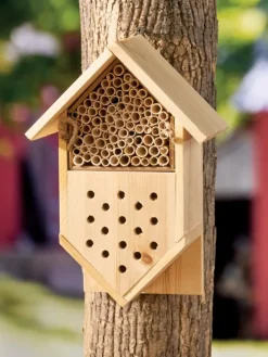 Bee Boarding House