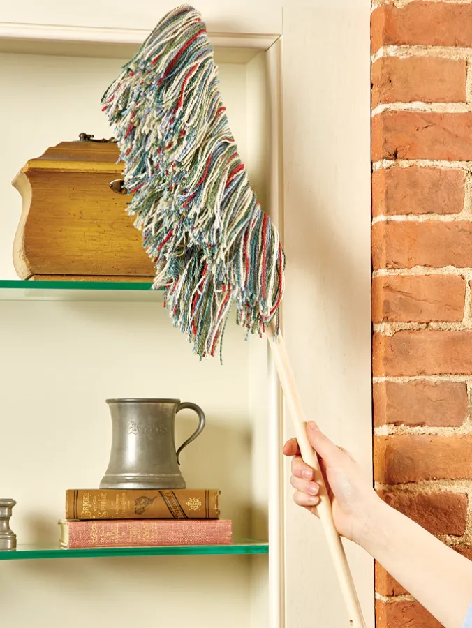 Big Woolly Hand Duster