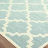 Blue Skies Medallion Indoor/Outdoor Area Rug