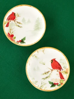Cardinal 9 Inch Ceramic Salad Plate, Set of 2