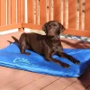 Chill Out Orthopedic Cooling Pet Bed, In 2 Sizes
