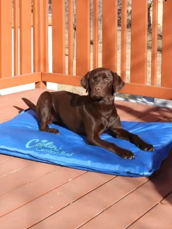 Chill Out Orthopedic Cooling Pet Bed, In 2 Sizes