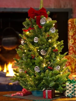 Classic Balsam Tabletop Christmas Tree, In 2 Sizes