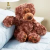 Classic Teddy Bear Plush Toy