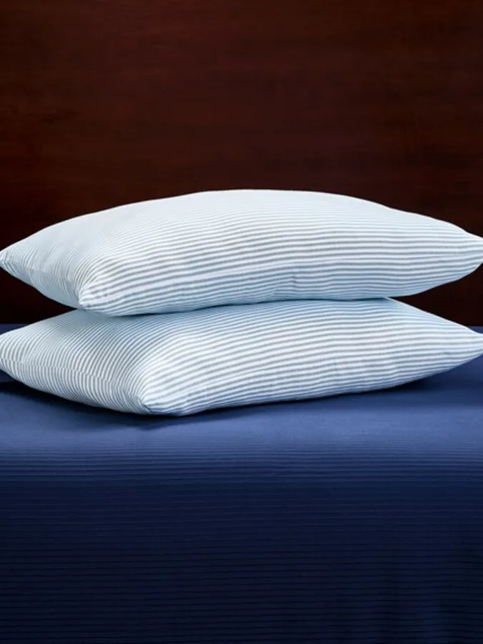Classic Ticking Stripe Standard Pillow, Set of 2
