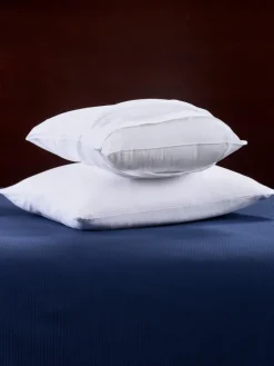 Cotton Pillow Protector, Set of 2