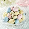 Dark Chocolate Almonds in a Candy Shell, 10 oz. Bag