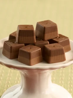 Dark Chocolate and Hazelnut Figaro Chocolates, Box of 24