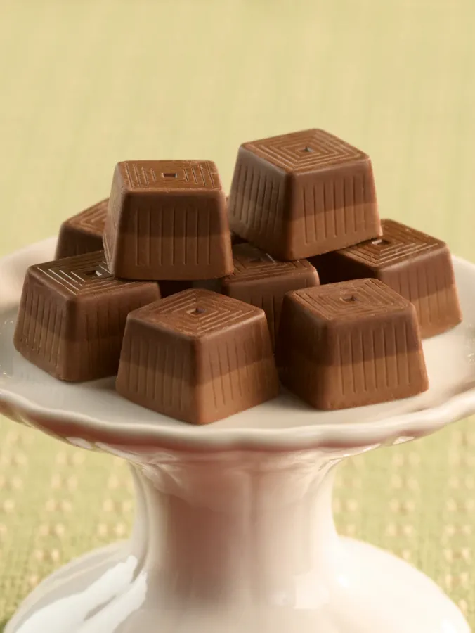Dark Chocolate and Hazelnut Figaro Chocolates, Box of 24