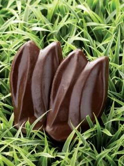 Dark Chocolate Bunny Ears, Set of 4