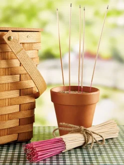 DEET-Free Insect-Repelling Punk Sticks, 100 Sticks
