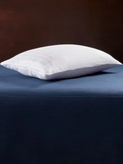 Down Alternative Pillow with Cover