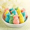 Easter Bunny Gummies, 24 oz. Bag