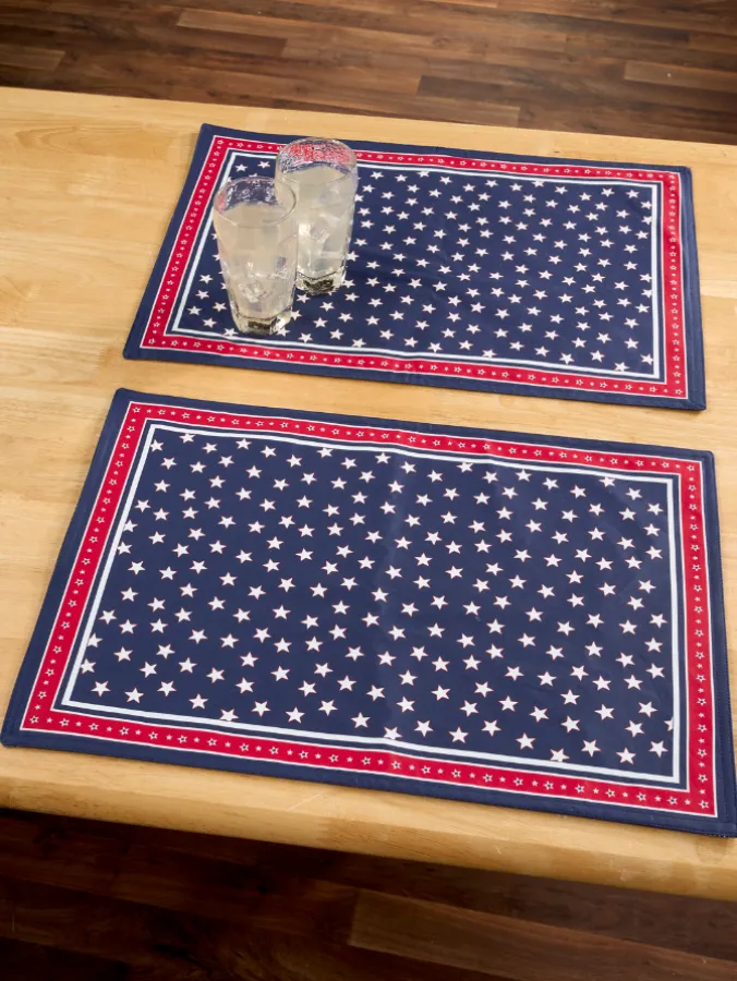 Easy Clean Coated Placemat, Set of 2