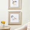 Fine Feathered Friend Art Print, Set of 2