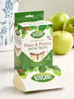Flour and Pantry Moth Trap