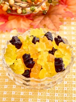 Fun and Fruity Gummy Bears, 1.5 Pound Bag