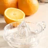 Glass Citrus Juicer