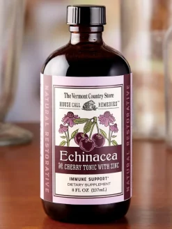 House Call Remedies Echinacea and Cherry Tonic With Zinc