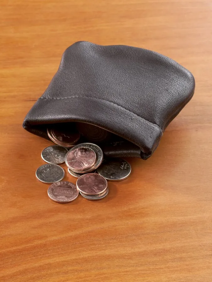 Leather Squeeze Coin Purse