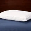 Loft and Support Back and Side Sleeper Bed Pillow