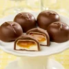 Marshmallow and Caramel Milk Chocolates, 10 Ounce Bag