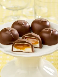 Marshmallow and Caramel Milk Chocolates, 10 Ounce Bag