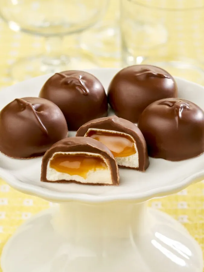 Marshmallow and Caramel Milk Chocolates, 10 Ounce Bag