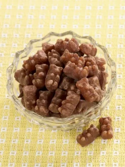 Milk Chocolate Gummy Bears, 10 Ounce Bag