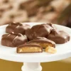 Milk Chocolate Peanut Caramel Patties, 12 Ounce Bag