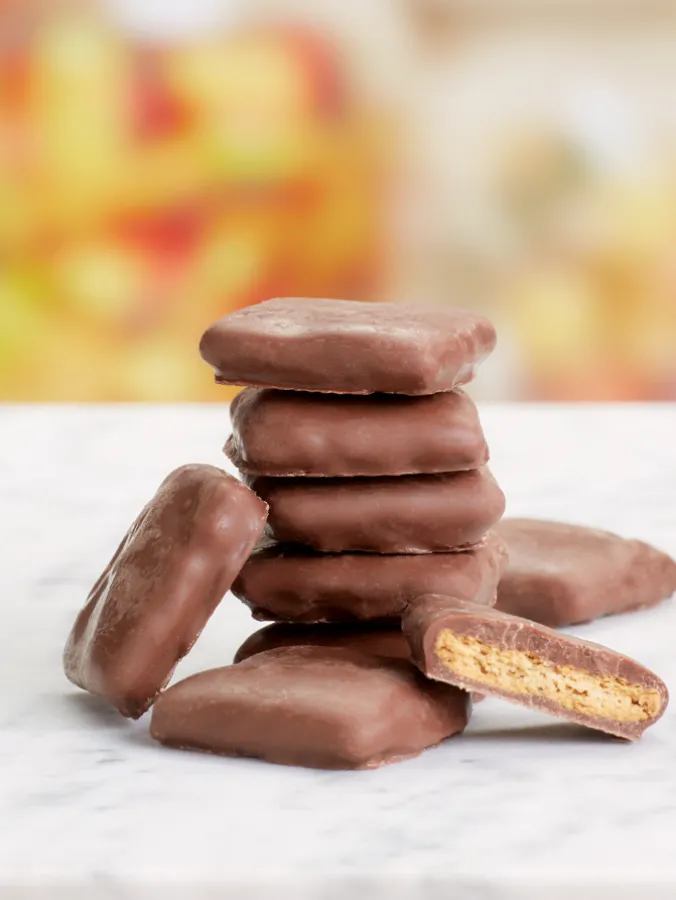Mini Chocolate Graham Crackers, 12 Ounce Bag