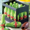 Mojito Filled Chocolate Bottles