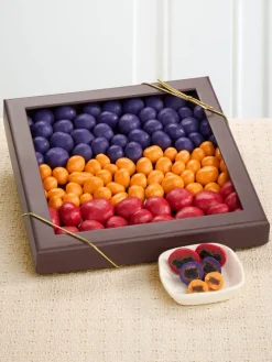 Orchard Delights Premium Chocolate-Covered Fruit Assortment