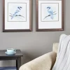 Peaceful Blue Jay Art Print, Set of 2
