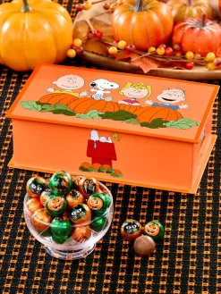Peanuts Great Pumpkin Halloween Tin With Foiled Milk Chocolate Balls, 10 Ounces