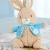 Peter Rabbit Plush Pal