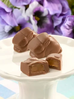 Raspberry or Caramel Filled Chocolate Bunnies
