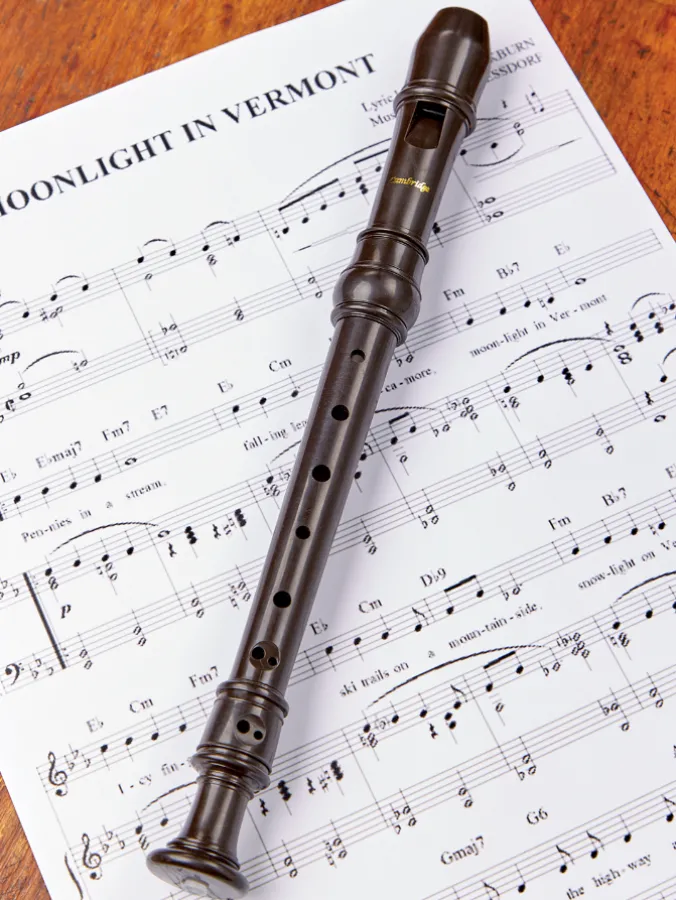 Recorder Musical Instrument