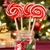 Red and White Peppermint Swirl Lollipop