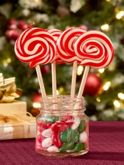Red and White Peppermint Swirl Lollipop
