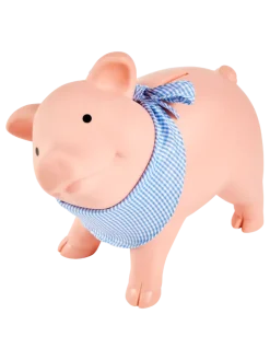 Rubber Piggy Bank