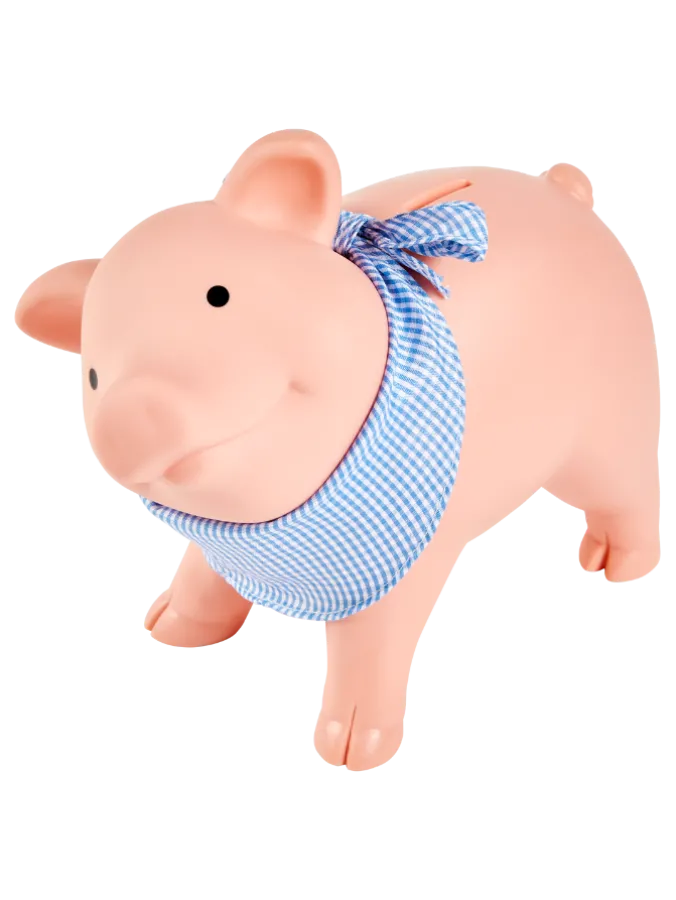 Rubber Piggy Bank