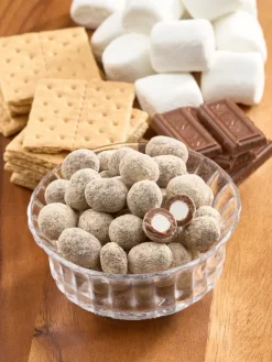 S'Mores Marshmallow Bite Chocolates, 12 Ounce Bag