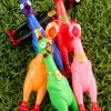 Squeeze Me Rubber Chicken Toy