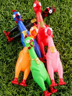 Squeeze Me Rubber Chicken Toy