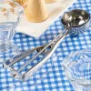 Stainless Steel Ice Cream Scoop