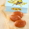 Sweet Goldfinch Sandalwood Soap Gift Tin