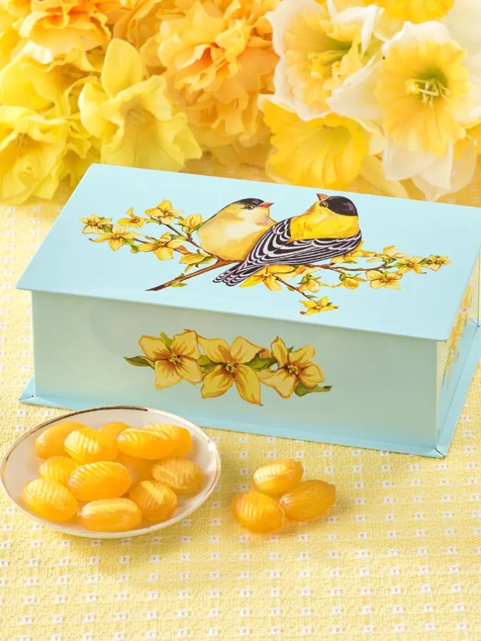 Sweet Goldfinch Tin With Honey Candy