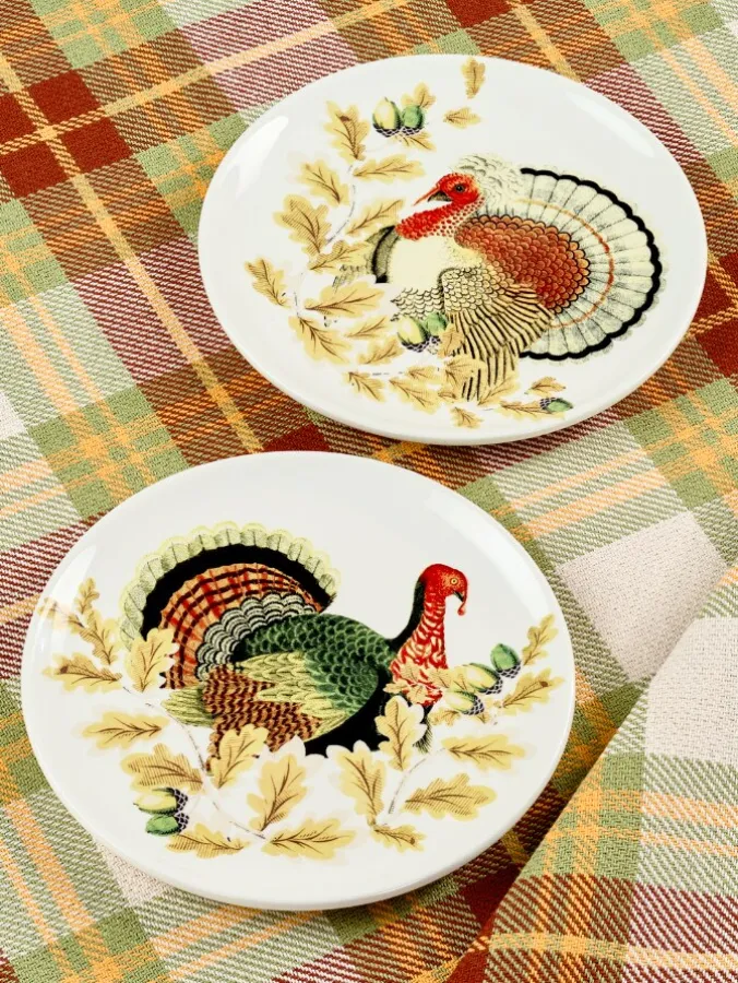 Thanksgiving Turkey Salad Plates, Set of 2