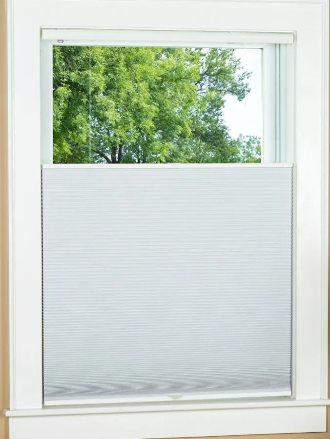Top Down Bottom Up Blackout Cordless Cellular Shade